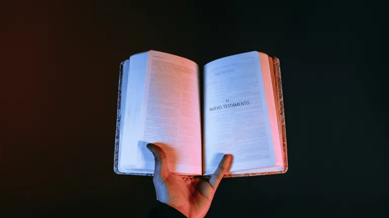 La lectura de las Sagradas Escrituras nos da aliento, paciencia y consuelo.