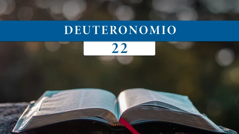 Deuteronomio 22