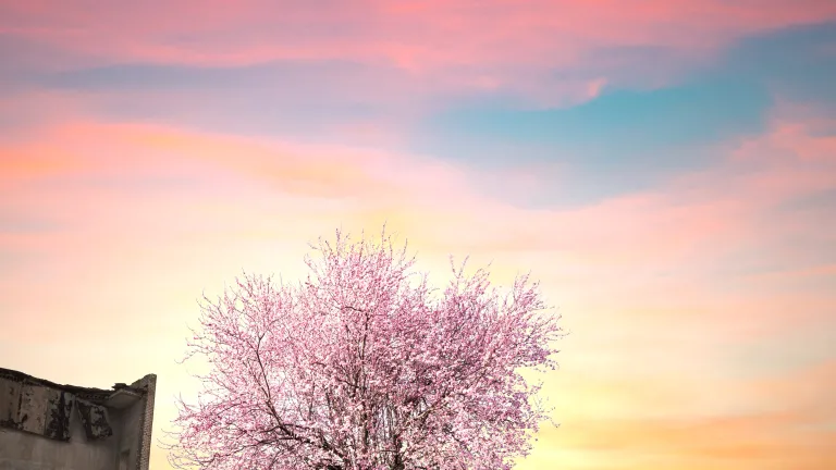 Incluso en la actualidad, nada ocurre sin el ojo vigilante de Dios y su supervisión final. Esto es alentador. Un mundo en transición