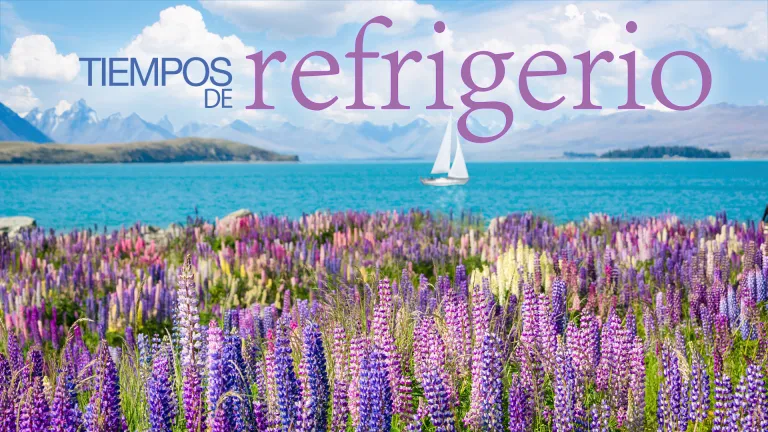 Tiempos de refrigerio