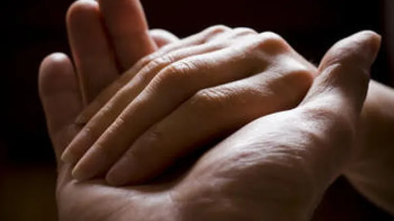 Hijos de la misericordia