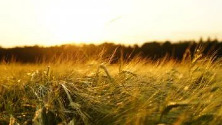 Lección 16: Juan el Bautista encarcelado; el yugo fácil de Jesús