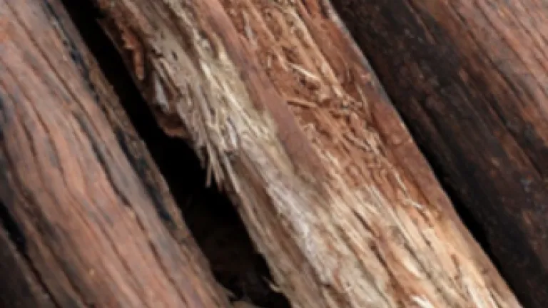 Debemos limar nuestras asperezas