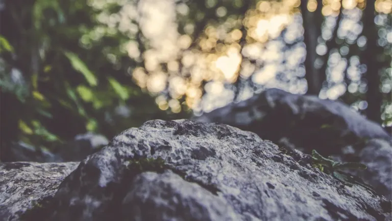 Este es el momento de llegar a conocer realmente a su Creador.