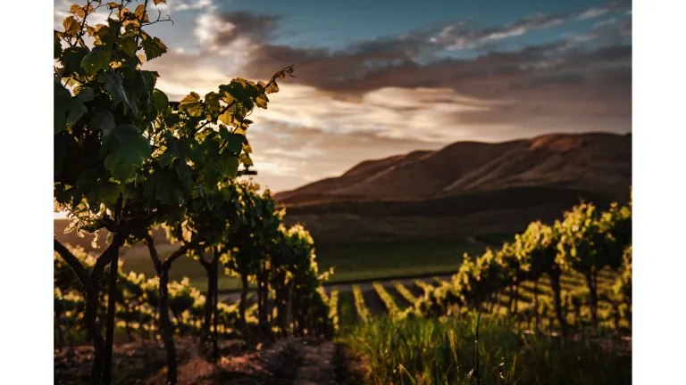 Para ese entonces, ya se habían almacenado la cebada, el trigo y la uvas; por lo que era un momento de gratitud y regocijo.