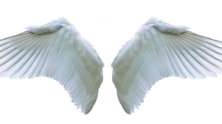 Curiosamente, la Biblia muestra que también hay diferentes clasificaciones de ángeles — ¡no son todos iguales!