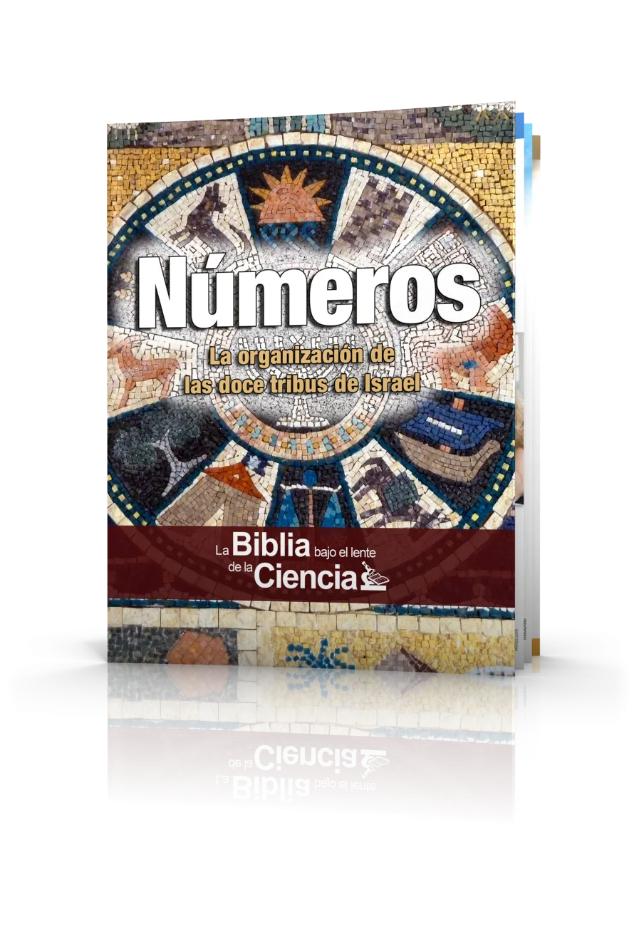 Números