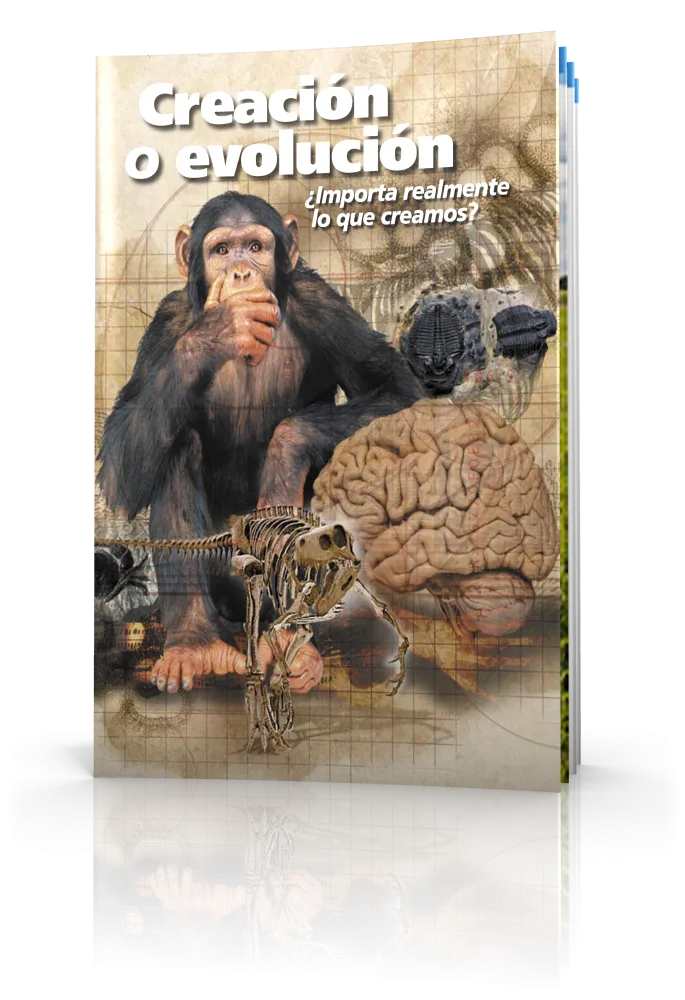 Creación o evolución ¿Importa realmente lo que creamos? Creación o evolución ¿Importa realmente lo que creamos?