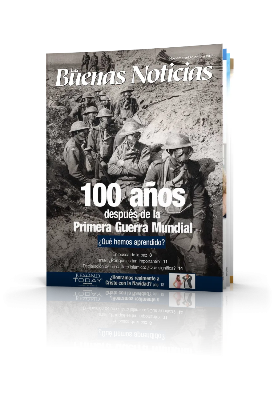 LasBN Noviembre Diciembre 2014