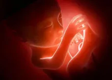 El debate sobre el aborto:  ¿Qué nos dice Dios?
