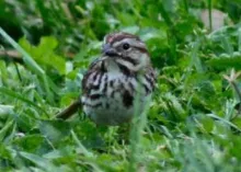 Proverbios: El que conoce el corazón humano