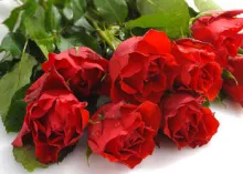 ¿Qué tiene de malo mostrar amor en el Día de San Valentín?