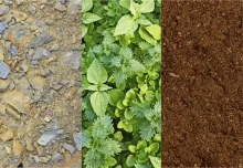 El sembrador y la semilla 2da parte