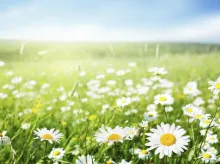 ¿Por qué algunos son llamados ahora  y no después?