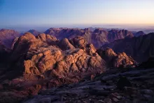 monte-sinai
