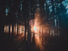 El Universo Cuna de la vida