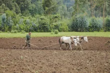 No se puede volver la mirada atrás ni un instante porque se pierde la dirección