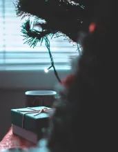 ¿Qué recibirán para Navidad?