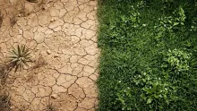 La Tierra se volvió un lugar hostil para el hombre.