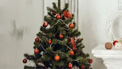 El árbol navideño viene del paganismo.