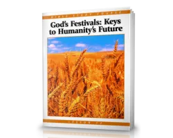 Bible Study Course Lesson 12