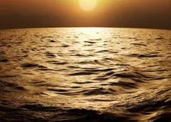 El mundo aprenderá la ley de Dios