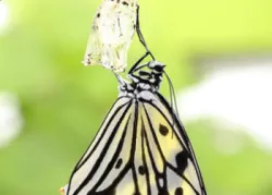 ¿Está dispuesto a cambiar?