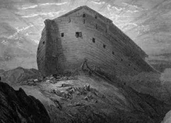 Noé: El resto de la historia