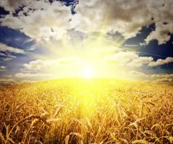 Jesucristo en los festivales bíblicos