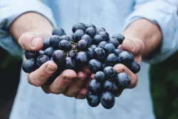 Cómo dar fruto incluso en la vejez