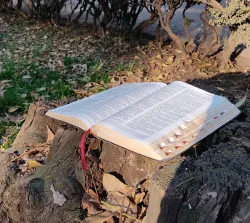 Las tres rondas de debates de los amigos de Job