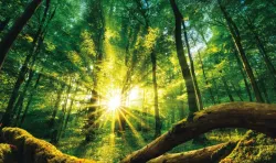 Siete pruebas científicas de  la existencia  de Dios