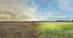 Cinco maneras en que  Jesucristo cambiará el mundo