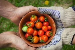 Alimentemos y avivemos  la llama de la Fiesta