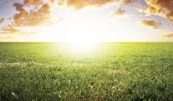 Cómo dejar de preocuparse por el fin del mundo