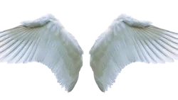 Curiosamente, la Biblia muestra que también hay diferentes clasificaciones de ángeles — ¡no son todos iguales!